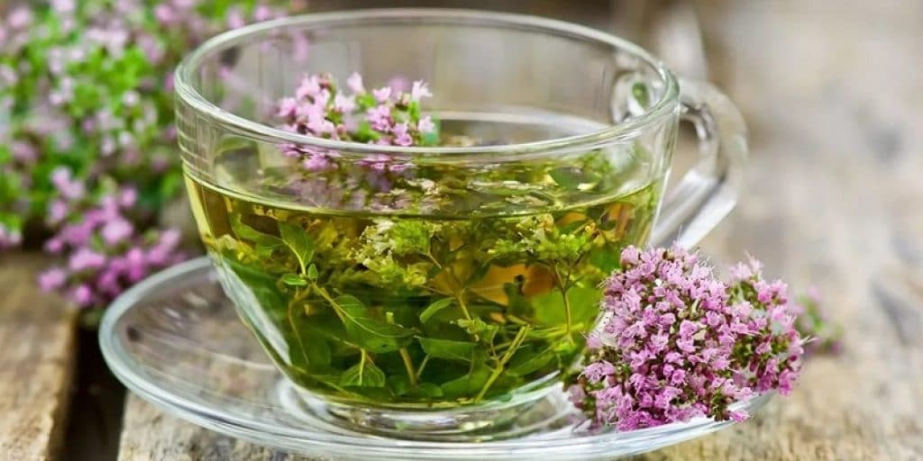 Чай с душицей является народным средством при лечении хирургического климакса