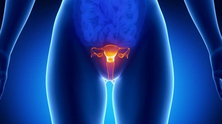 Почему болит яичник перед месячными, вовремя и после них